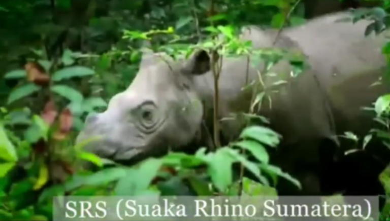 Screenshot 2026-03-02 114651