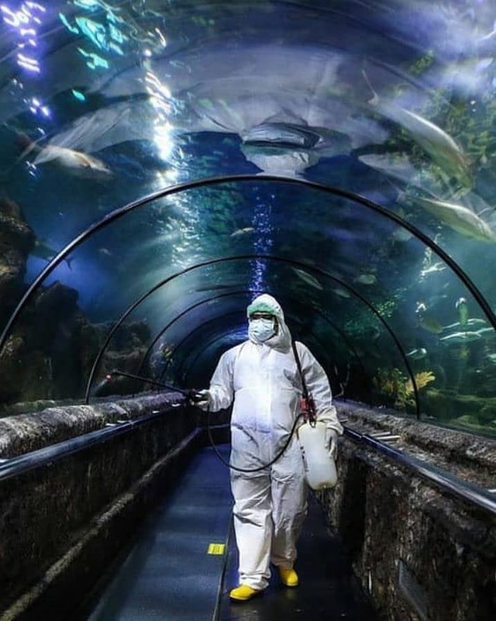 SaveClip.App_97291466_154855452711852_1951967636010635948_n