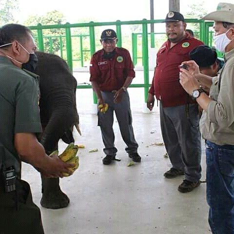 SaveClip.App_104437406_1204564333218257_9076968885929274426_n