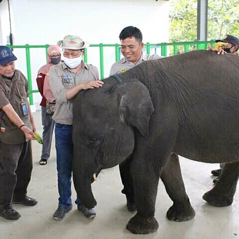 SaveClip.App_105990239_364767704504049_3447236712908434962_n