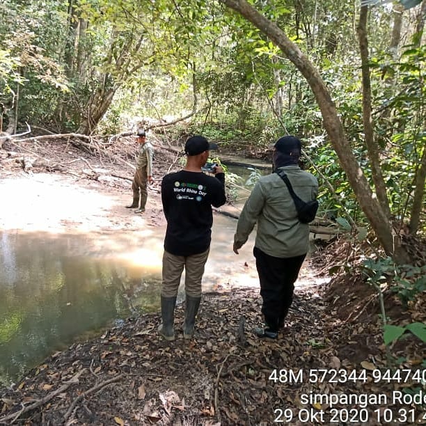 SaveClip.App_646111139_18058474556391941_5841932051786349765_n