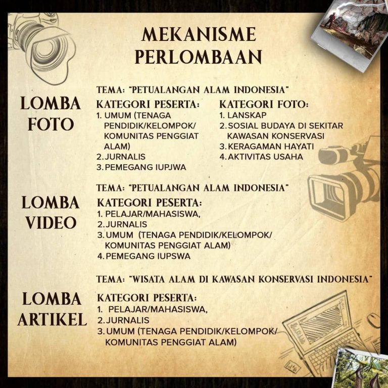 SaveClip.App_123231174_127093169171505_6240476253452323104_n