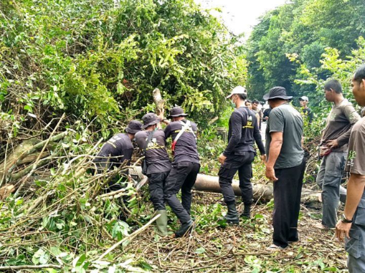 SaveClip.App_624548110_1229813155760501_2142159152545788564_n