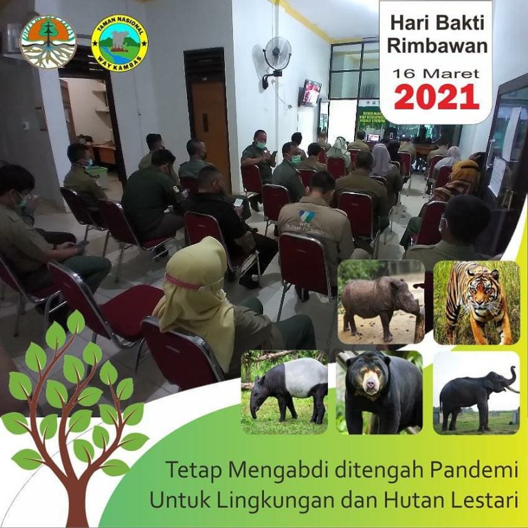 SaveClip.App_160328118_4116372061741493_3295799127746277239_n