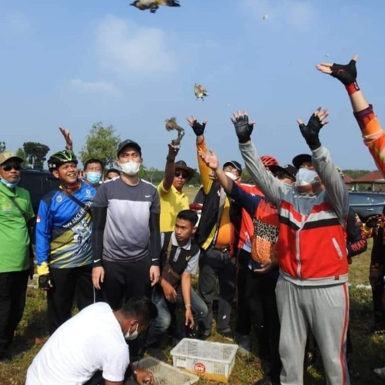 SaveClip.App_196888960_979436749529828_3169076837719961895_n