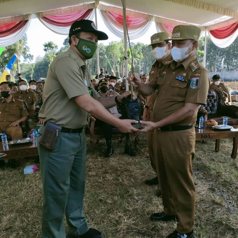 SaveClip.App_197856072_203157251550551_3328926083168277684_n