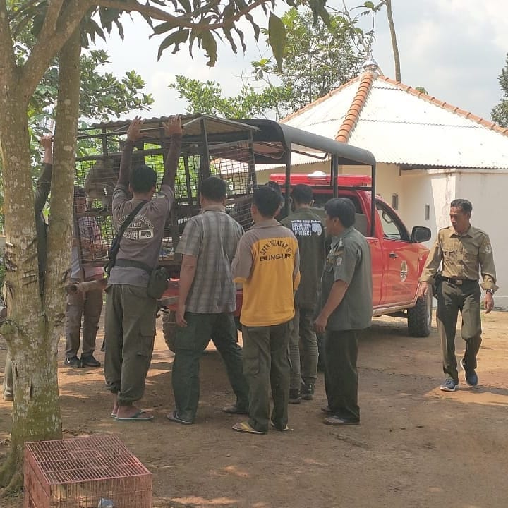 SaveClip.App_219519445_582521063124753_370806285868706744_n