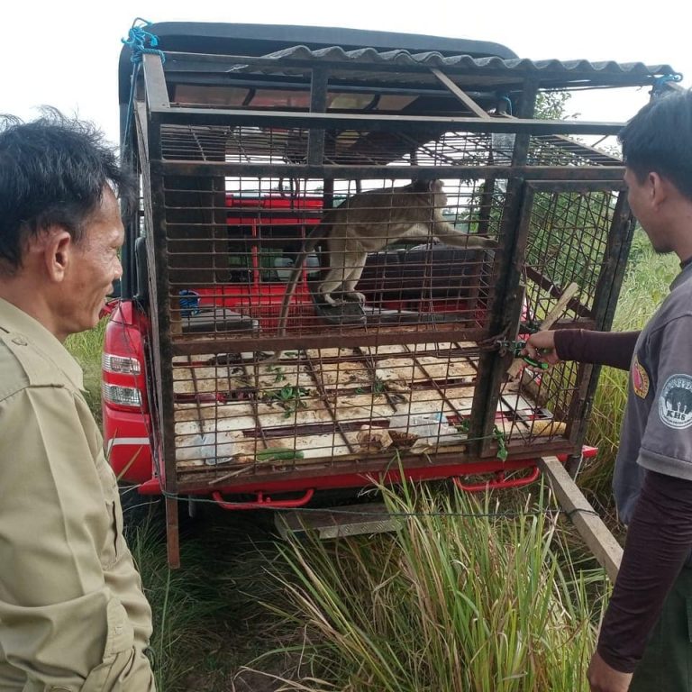 SaveClip.App_219863443_500156247954411_4763239509108796739_n