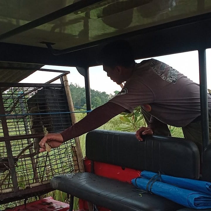 SaveClip.App_220493524_562625571771594_5972834584469089559_n