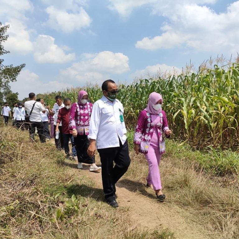 SaveClip.App_225614808_178647100918717_697269991843674675_n