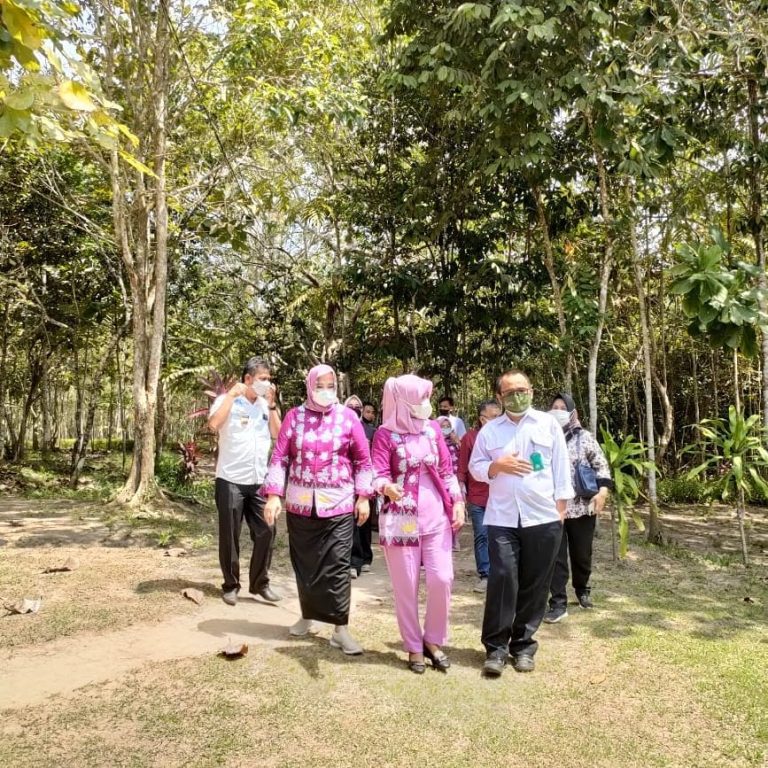 SaveClip.App_225932585_915121015705502_8028438666011957678_n