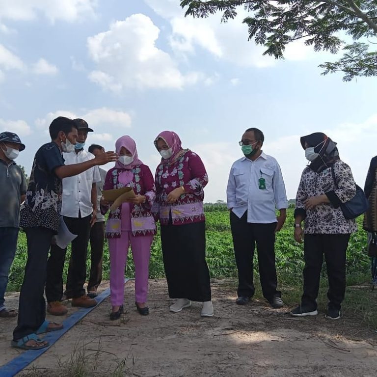 SaveClip.App_226239041_912735052611444_6607681438976566899_n