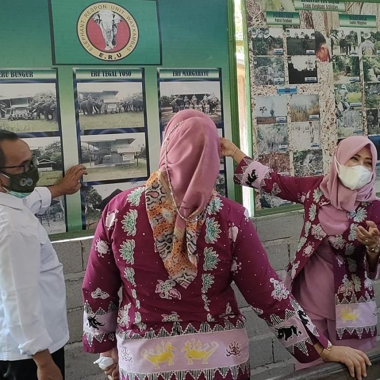 SaveClip.App_227763130_185034810317966_3655696994810628316_n