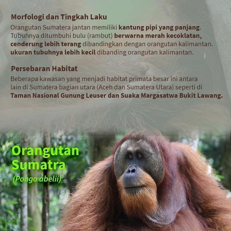 SaveClip.App_225399740_345015277367368_4589156459474504239_n