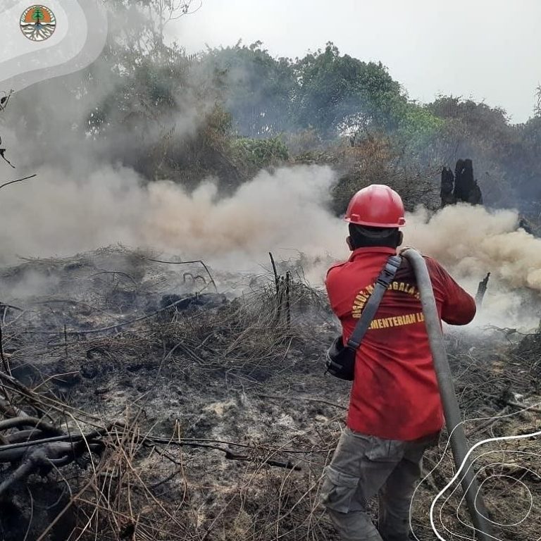 SaveClip.App_233030414_415289786539397_293193750522107257_n