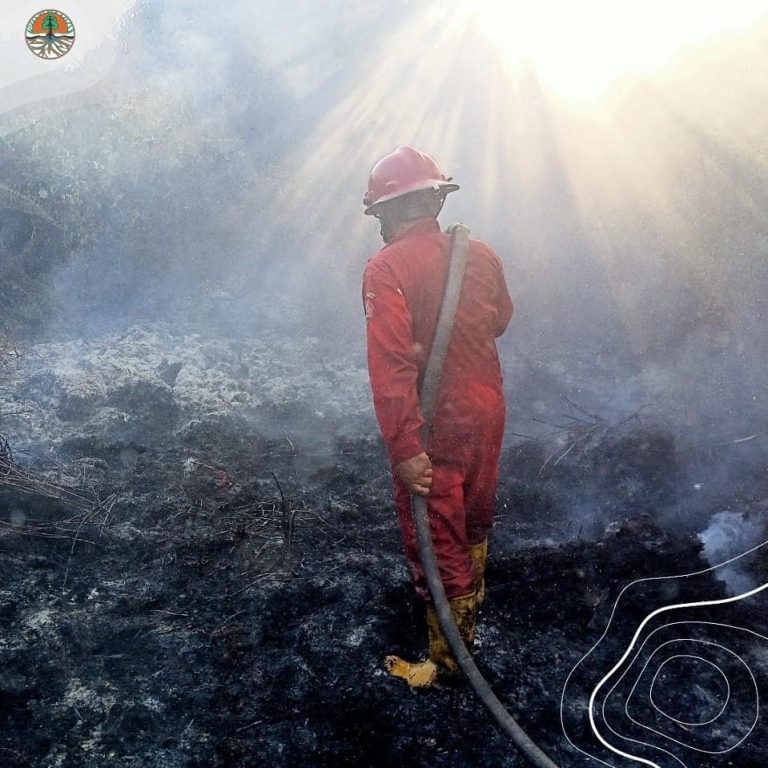 SaveClip.App_233812106_436196490765205_1238000810160610242_n