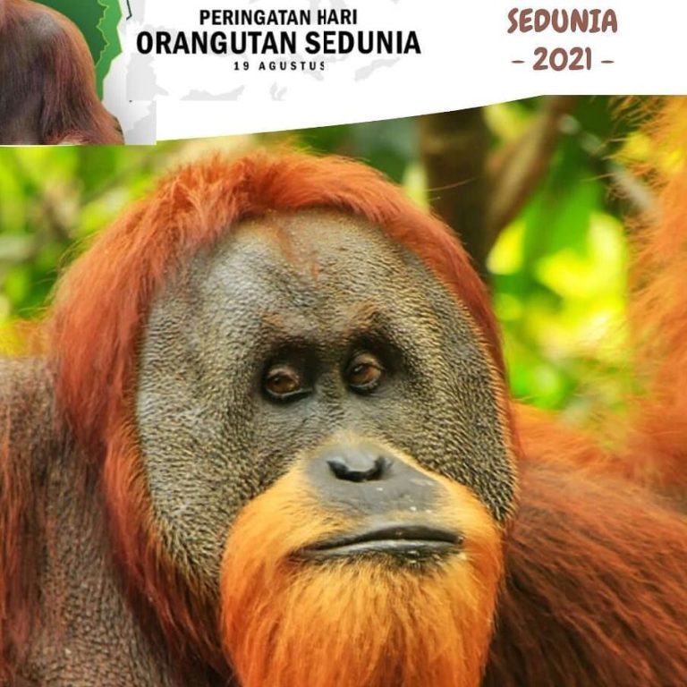 SaveClip.App_238800991_336404428189021_6555087616494963087_n