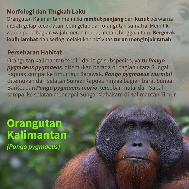 SaveClip.App_239179590_856466724995177_7564648188729699040_n