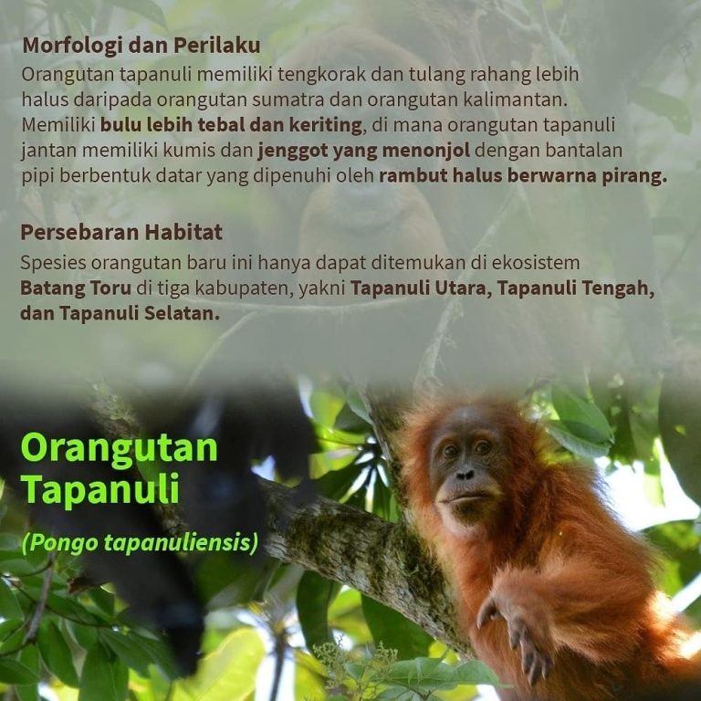 SaveClip.App_239334222_110170247952900_2726913748616595487_n