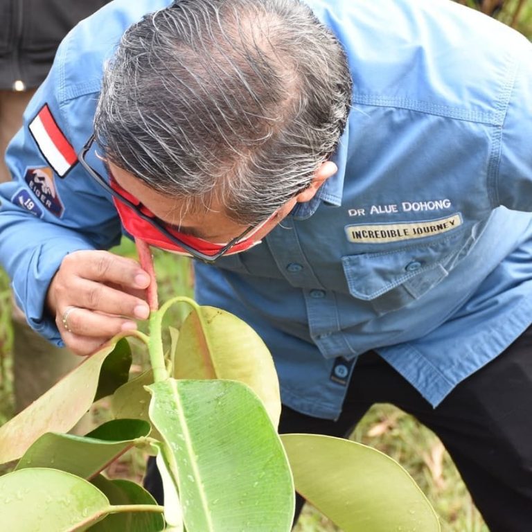 SaveClip.App_241261537_874331206854144_5497392997366065351_n