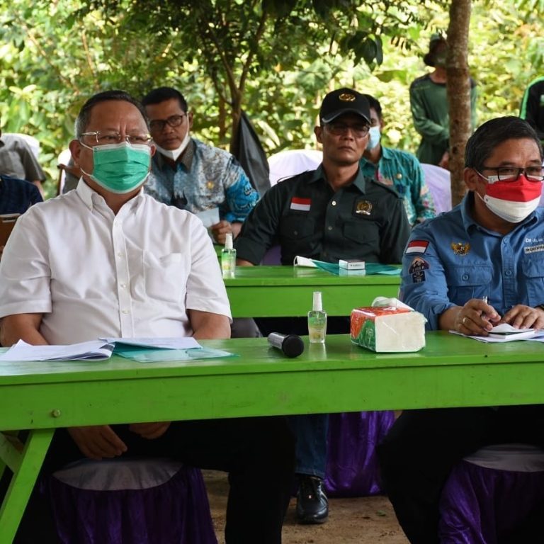 SaveClip.App_241294691_2650624571908288_4704734614710309630_n