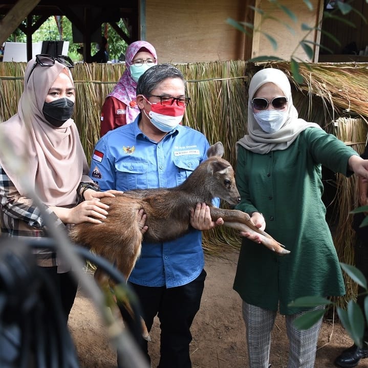 SaveClip.App_241314298_952310688649220_8087738359276839917_n