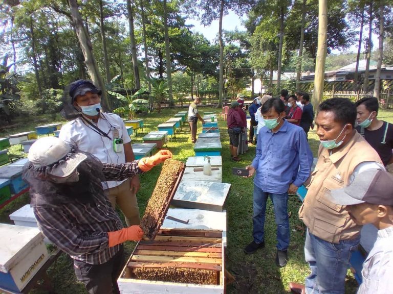 SaveClip.App_243569600_877512606463970_4918911381590882662_n