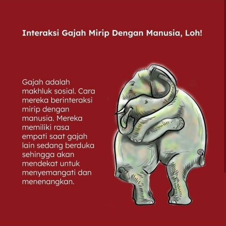 SaveClip.App_265256593_594555274935114_7647102871173908462_n