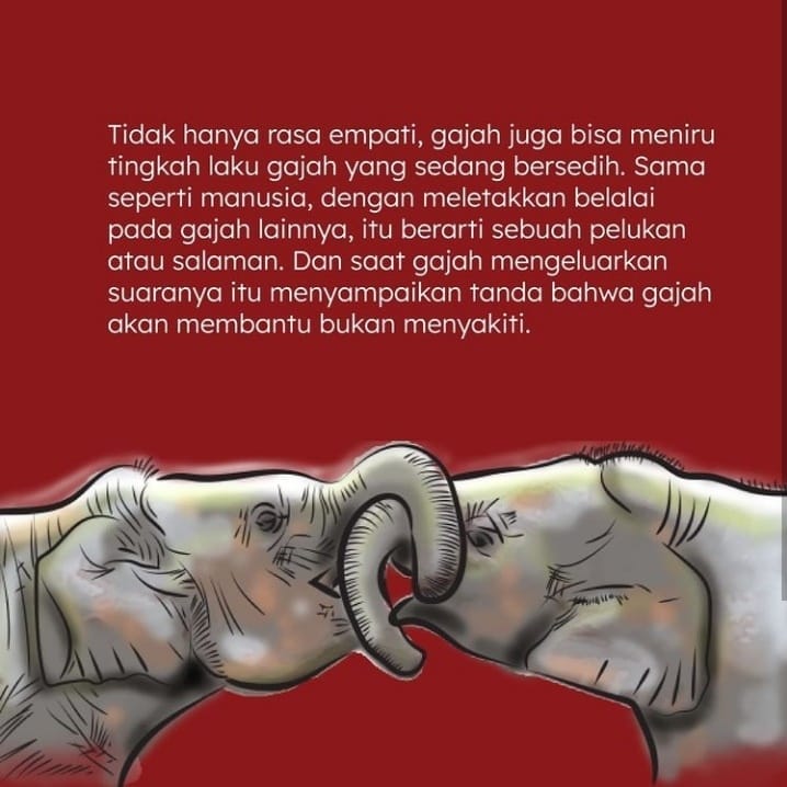 SaveClip.App_265309274_1337204910044409_855006786814143831_n