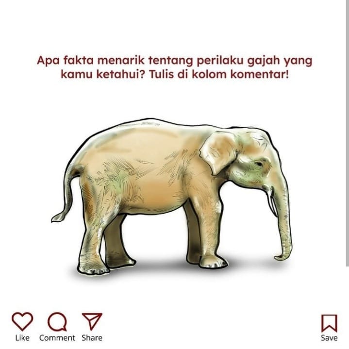 SaveClip.App_265336970_659166421920753_97197020707841195_n