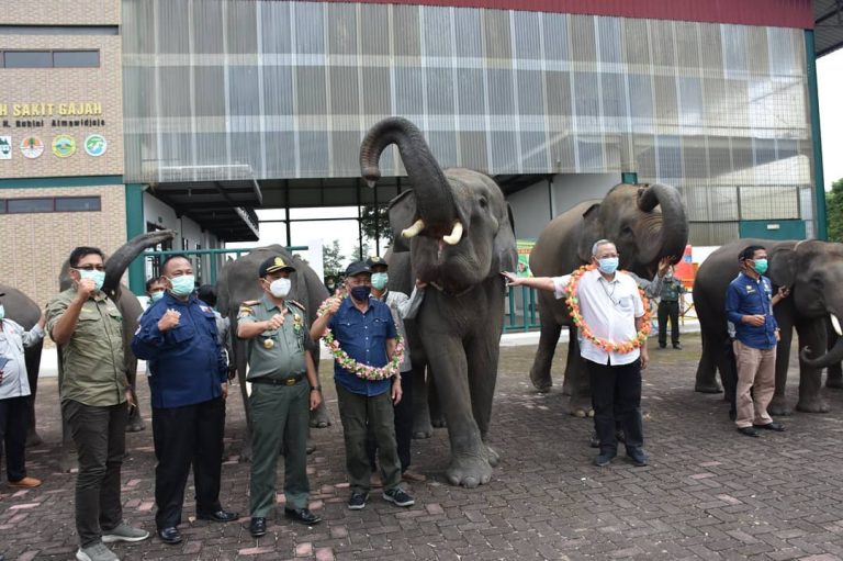 SaveClip.App_154912098_346777250313004_591526644638395784_n