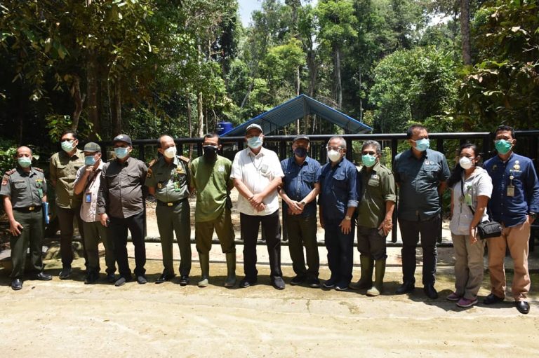 SaveClip.App_155794358_332396584876325_710779333748213808_n