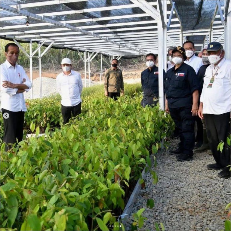 SaveClip.App_275850723_501209281607891_5363479861396284985_n