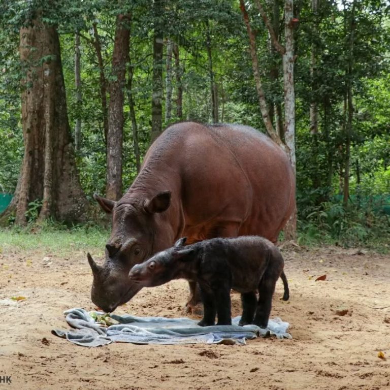 SaveClip.App_277323408_393805352587906_5201467425058369877_n