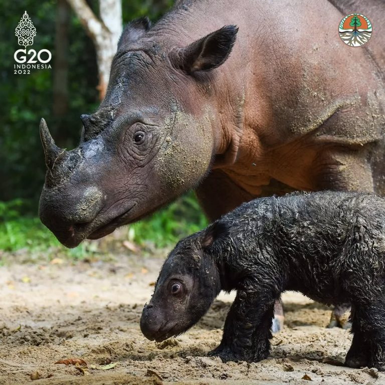 SaveClip.App_277364590_1036193430579127_8308047046338933077_n