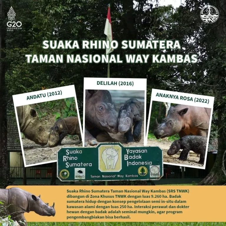 SaveClip.App_277601561_387959869552594_9214256554886937085_n