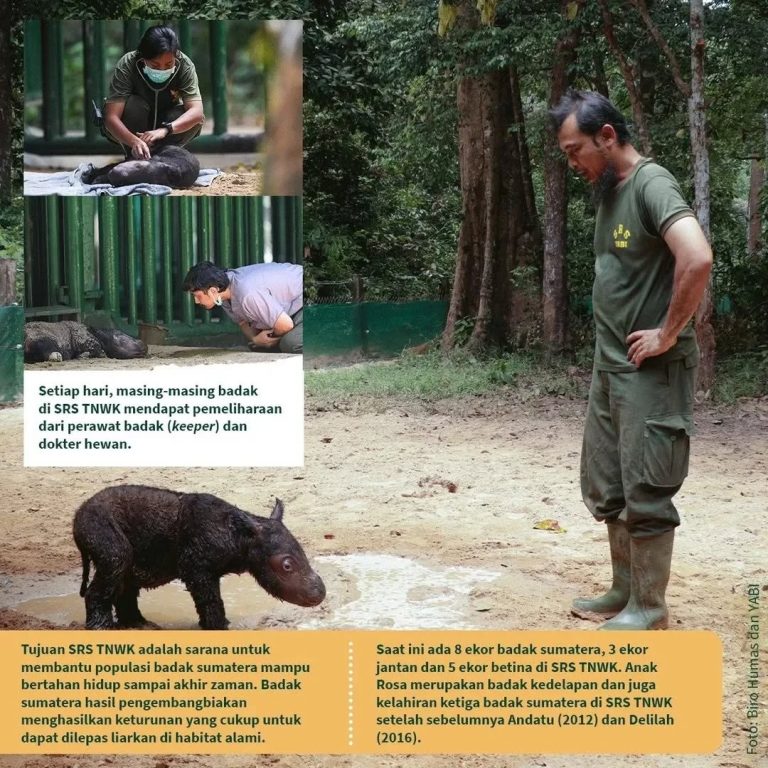 SaveClip.App_277694425_510110470614115_2464257163646148118_n