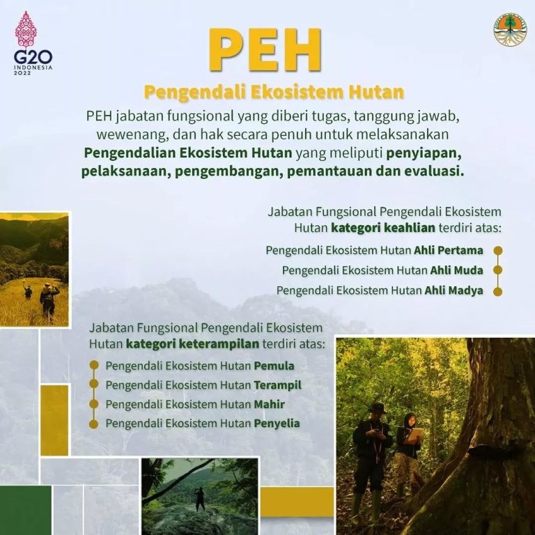 SaveClip.App_278718174_347236287246213_271646648700699290_n