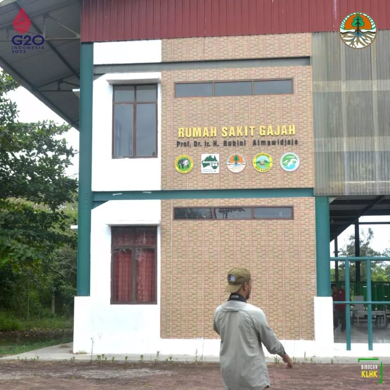 SaveClip.App_279072504_7249006951839870_819486715673020705_n (1)