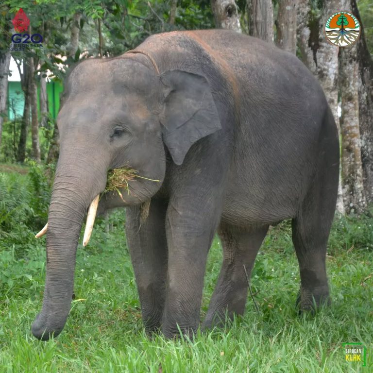 SaveClip.App_279140571_1134659147373317_7208184434563555072_n