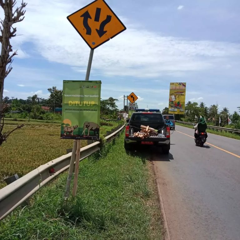 SaveClip.App_279178151_165551332525108_379041093618087301_n