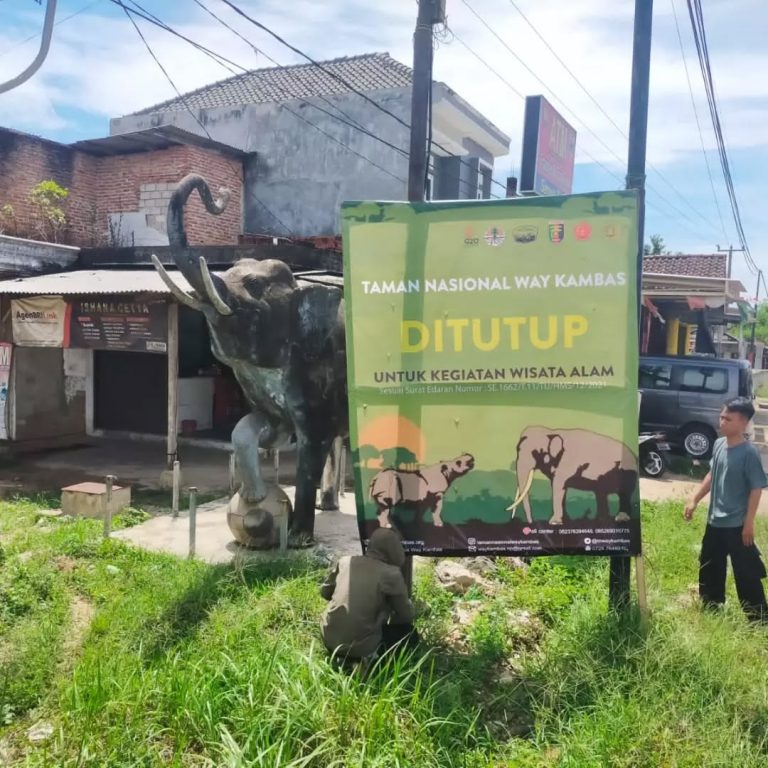 SaveClip.App_279339157_1663917063975955_7381742100469516393_n