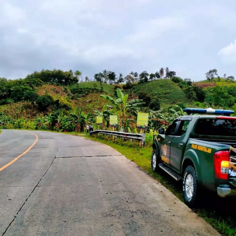 SaveClip.App_279394583_316782443860188_6044844602283389526_n