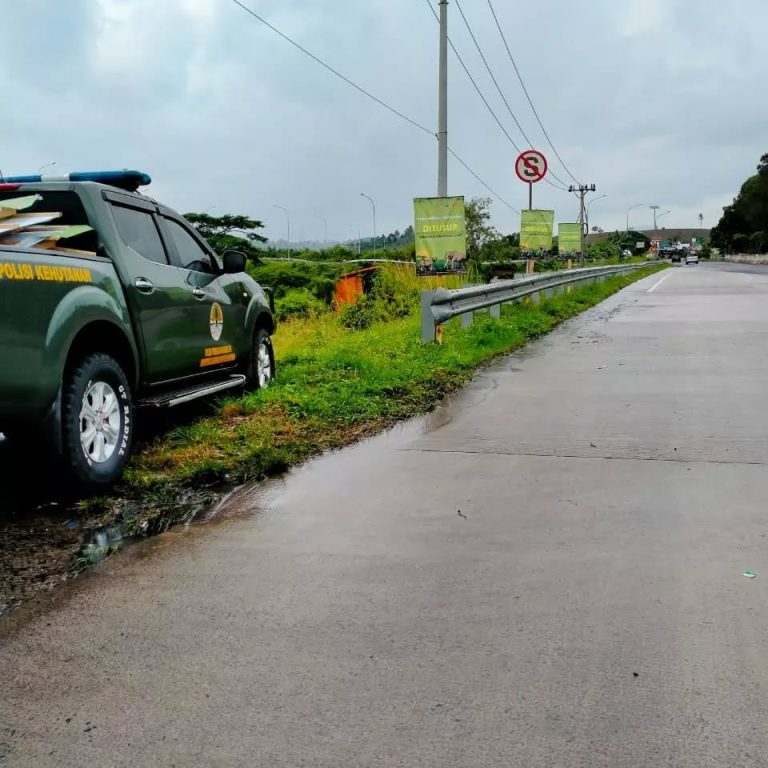 SaveClip.App_279408269_500617698466139_5530511816759372157_n