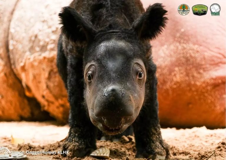 SaveClip.App_283199112_539727121094628_6532201016412458054_n