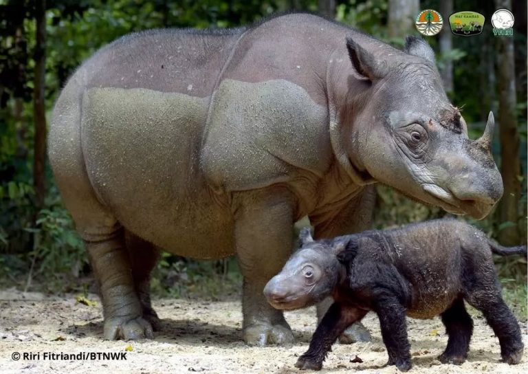 SaveClip.App_283464368_496538602079978_3889270210562475129_n