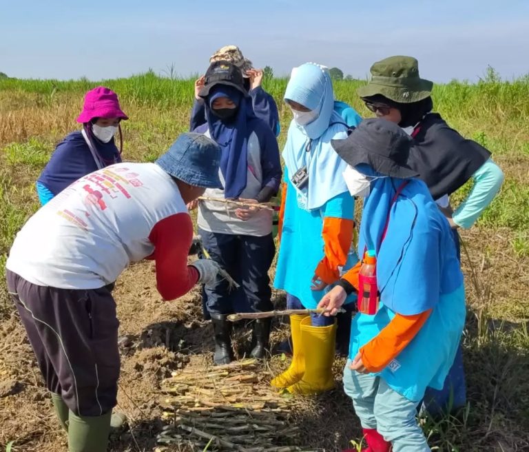 SaveClip.App_283792727_1158036488369737_174627105016015469_n