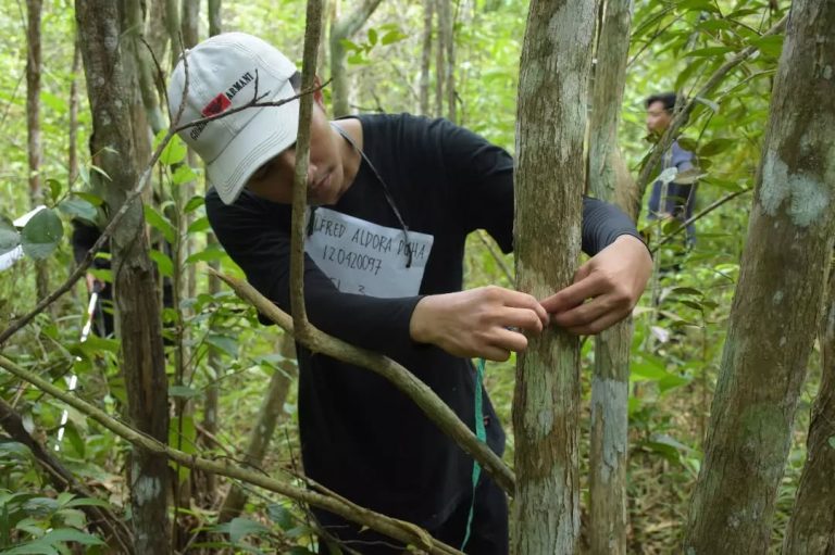 SaveClip.App_284436131_991759441537643_936968806496803317_n