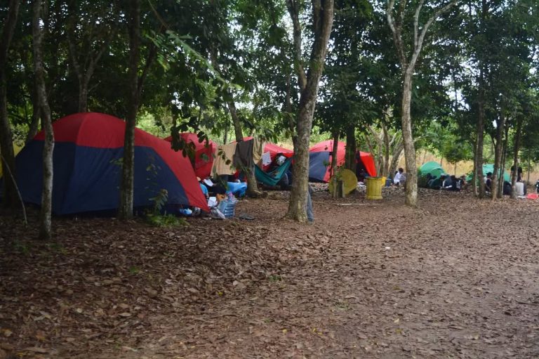 SaveClip.App_284798364_3096906533971751_6537566785907451230_n