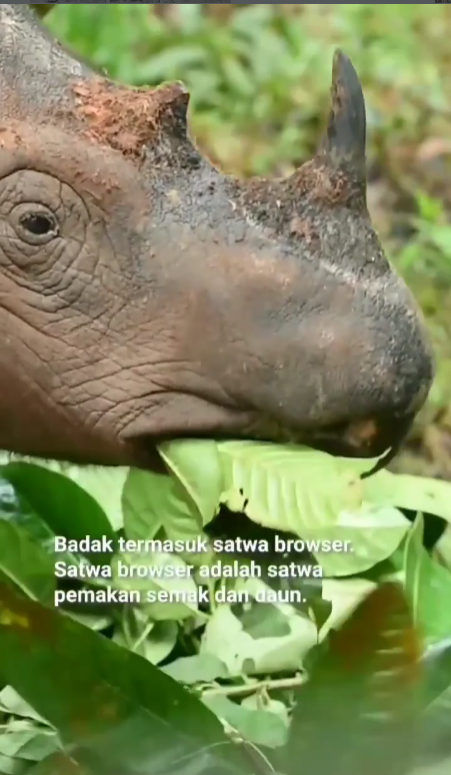 Screenshot 2026-03-05 095943